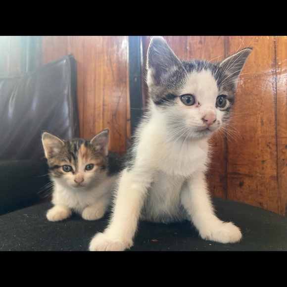 Hi, I’m Sam. - Picture 1 of 1